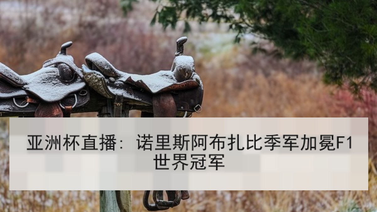 亚洲杯直播: 诺里斯阿布扎比季军加冕F1世界冠军 亚洲杯直播: 诺里斯阿布扎比季军加冕F1世界冠军