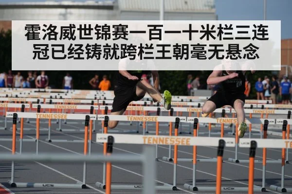 110m hurdles race