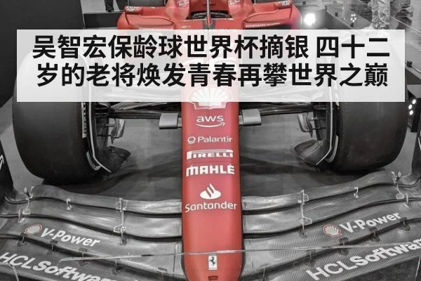 吴智宏保龄球世界杯摘银 四十二岁的老将焕发青春再攀世界之巅